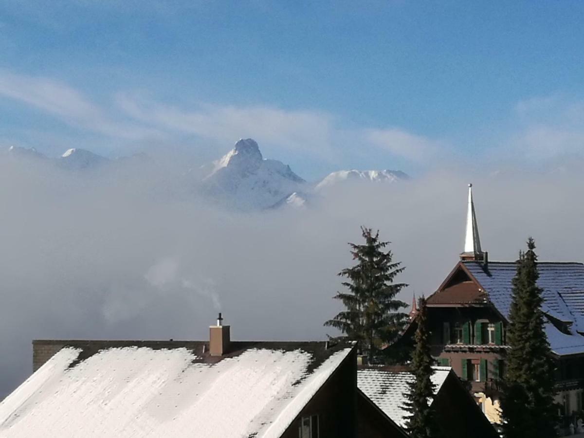 Ackaert Ferienwohnung Top Of Thun Exterior foto